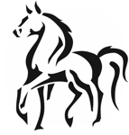 The Pony Saddle Company