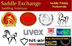 logos website 2013