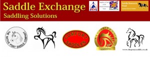 logos website saddle page