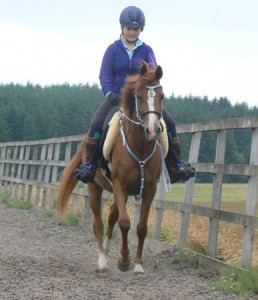 serc younge riders