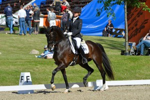 Ditte and and Deep Purple competing at Broholm in 2013 in their Cadence, Warmblood fit