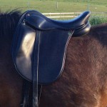 Comfort Elite Maj-Britt Carter Icelandic Saddle