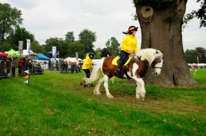 Gemma and Izzy Competing at Horseboarding in their Comfort Intrepid native Pony Fit <a class=