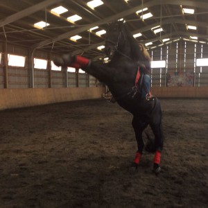 Me trying my best to look dignified while Mimi does his famous rear <a class=