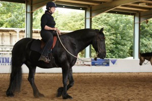Helen and M Clinic