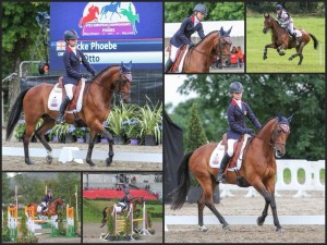 Phoebe Locke and mr Otto competing in our Comfort Elite Rapport and Puissance Saddles, Sports Pony fit <a class=